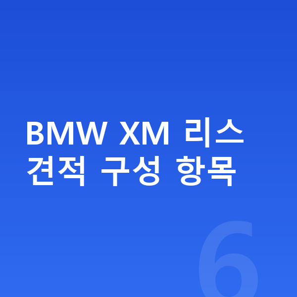 BMW XM 리스 견적 BMW XM 리스 견적 구성 항목