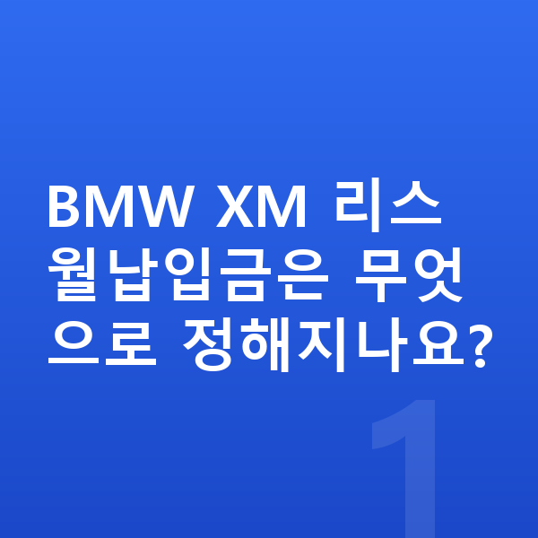 BMW XM 리스 월납입금 BMW XM 리스 월납입금은 무엇으로 정해지나요?