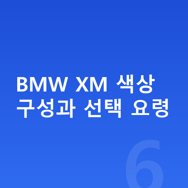 BMW XM 색상 BMW XM 색상 구성과 선택 요령