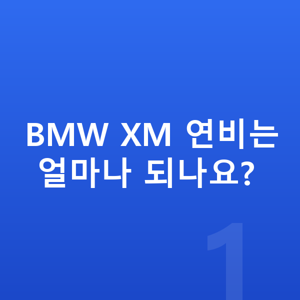 BMW XM 연비 BMW XM 연비는 얼마나 되나요?
