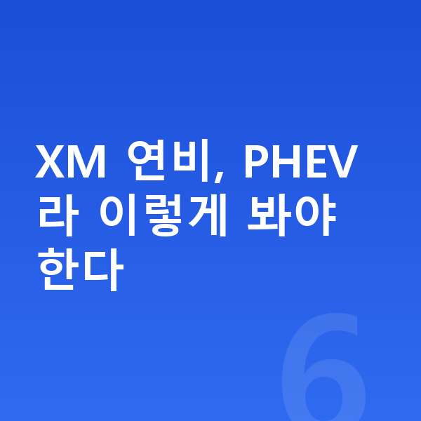 BMW XM 연비 XM 연비, PHEV라 이렇게 봐야 한다