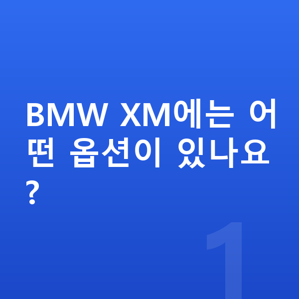 BMW XM 옵션 BMW XM에는 어떤 옵션이 있나요?
