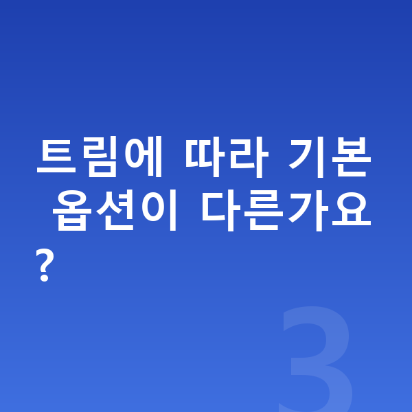 BMW XM 옵션 트림에 따라 기본 옵션이 다른가요?