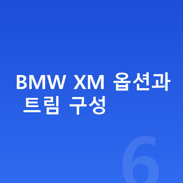 BMW XM 옵션 BMW XM 옵션과 트림 구성