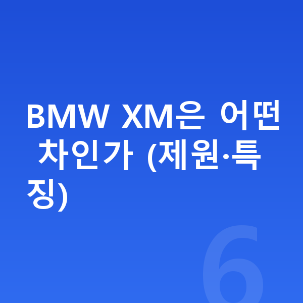 BMW XM 장기렌트 견적 BMW XM은 어떤 차인가 (제원·특징)
