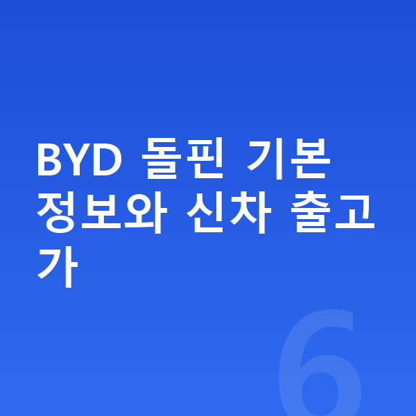 BYD 돌핀 가격 BYD 돌핀 기본 정보와 신차 출고가