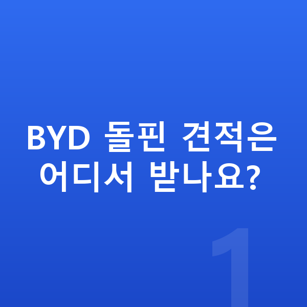 BYD 돌핀 견적 BYD 돌핀 견적은 어디서 받나요?