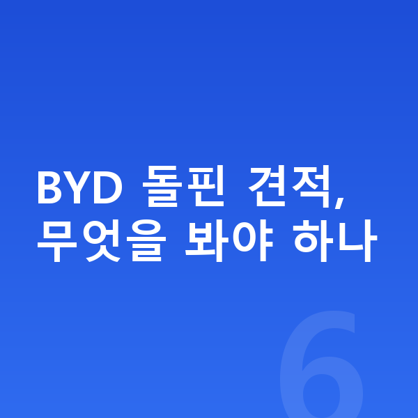 BYD 돌핀 견적 BYD 돌핀 견적, 무엇을 봐야 하나