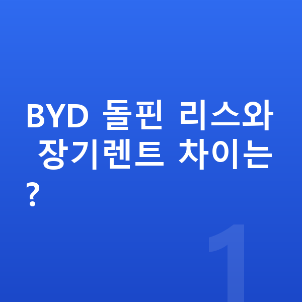 BYD 돌핀 리스 BYD 돌핀 리스와 장기렌트 차이는?