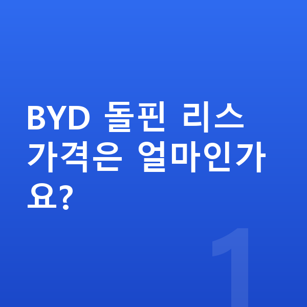 BYD 돌핀 리스 가격 BYD 돌핀 리스 가격은 얼마인가요?
