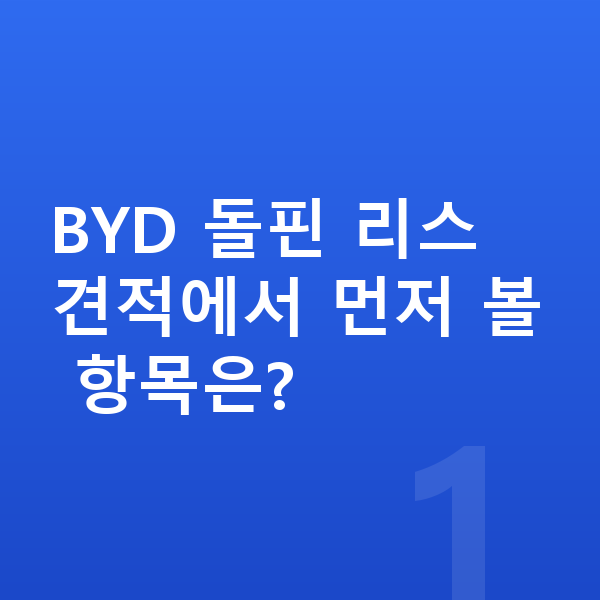 BYD 돌핀 리스 견적 BYD 돌핀 리스 견적에서 먼저 볼 항목은?