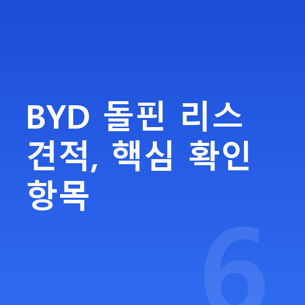 BYD 돌핀 리스 견적 BYD 돌핀 리스 견적, 핵심 확인 항목