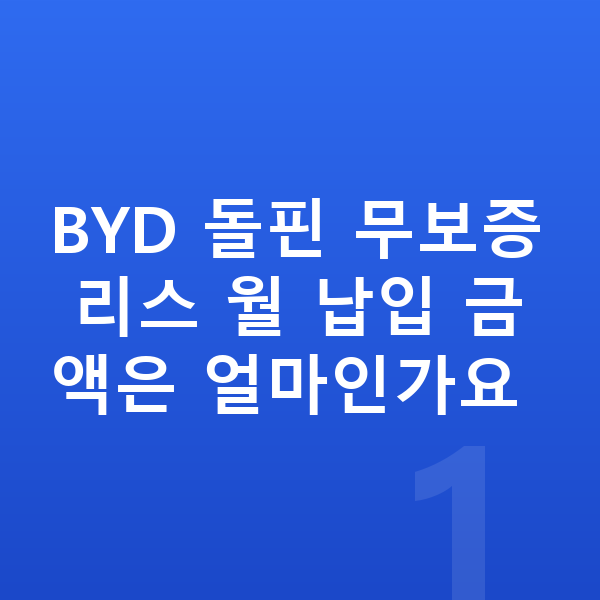 BYD 돌핀 리스 무보증 BYD 돌핀 무보증 리스 월 납입 금액은 얼마인가요