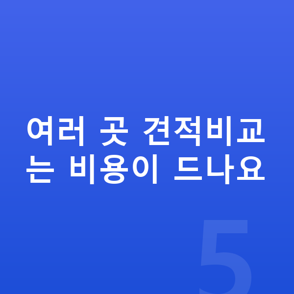 BYD 돌핀 리스 무보증 여러 곳 견적비교는 비용이 드나요