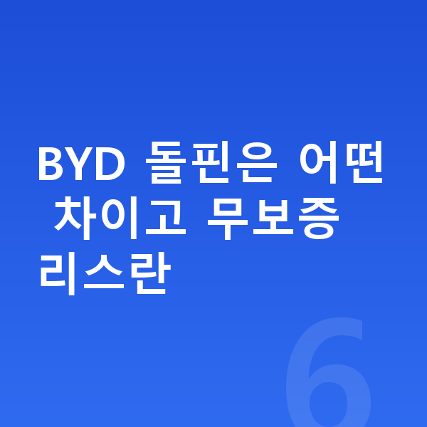 BYD 돌핀 리스 무보증 BYD 돌핀은 어떤 차이고 무보증 리스란