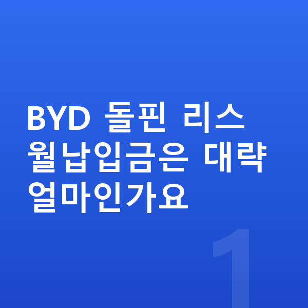 BYD 돌핀 리스 월납입금 BYD 돌핀 리스 월납입금은 대략 얼마인가요