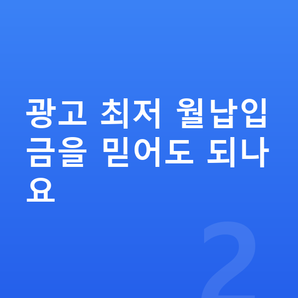 BYD 돌핀 리스 월납입금 광고 최저 월납입금을 믿어도 되나요
