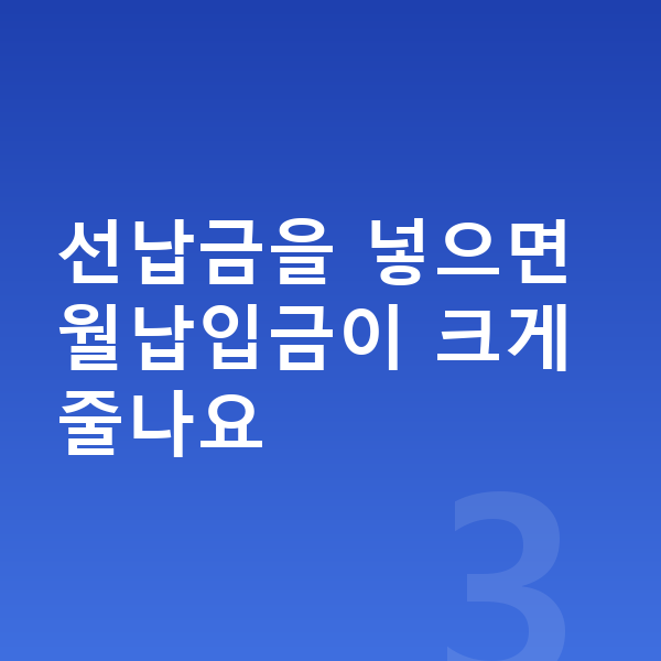 BYD 돌핀 리스 월납입금 선납금을 넣으면 월납입금이 크게 줄나요