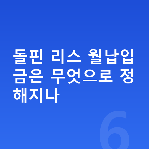 BYD 돌핀 리스 월납입금 돌핀 리스 월납입금은 무엇으로 정해지나