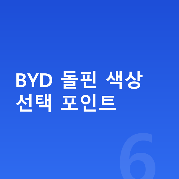 BYD 돌핀 색상 BYD 돌핀 색상 선택 포인트