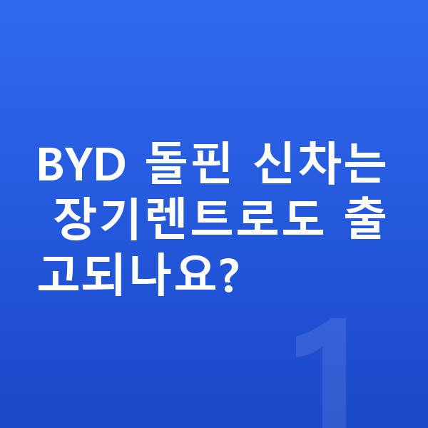 BYD 돌핀 신차 BYD 돌핀 신차는 장기렌트로도 출고되나요?