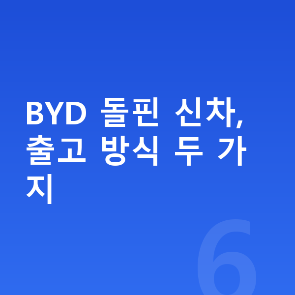 BYD 돌핀 신차 BYD 돌핀 신차, 출고 방식 두 가지