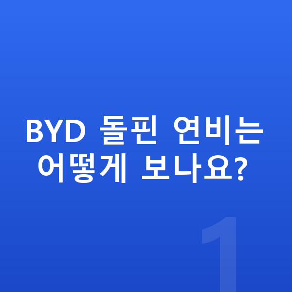 BYD 돌핀 연비 BYD 돌핀 연비는 어떻게 보나요?