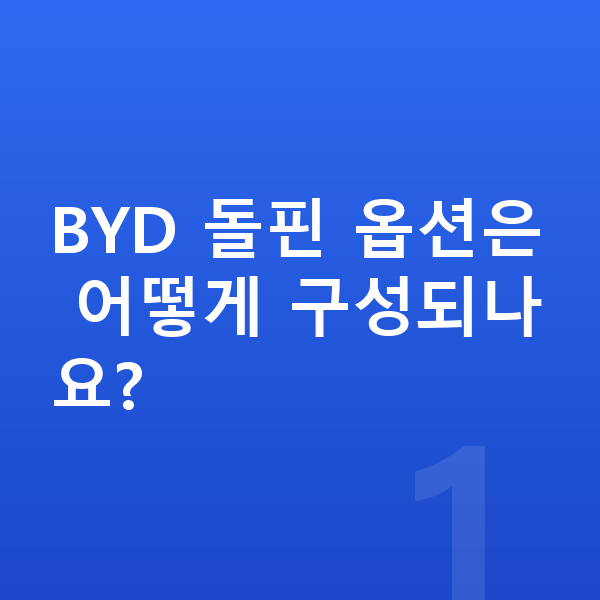 BYD 돌핀 옵션 BYD 돌핀 옵션은 어떻게 구성되나요?