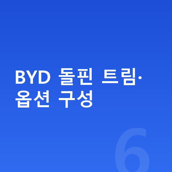 BYD 돌핀 옵션 BYD 돌핀 트림·옵션 구성