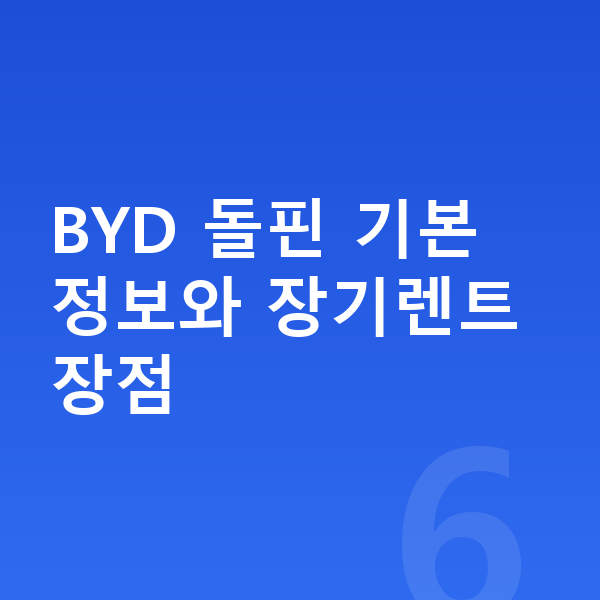 BYD 돌핀 장기렌트 BYD 돌핀 기본 정보와 장기렌트 장점