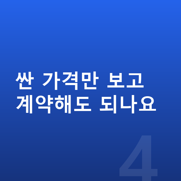 BYD 돌핀 장기렌트 가격 싼 가격만 보고 계약해도 되나요
