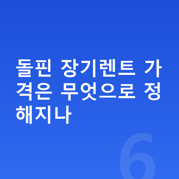 BYD 돌핀 장기렌트 가격 돌핀 장기렌트 가격은 무엇으로 정해지나
