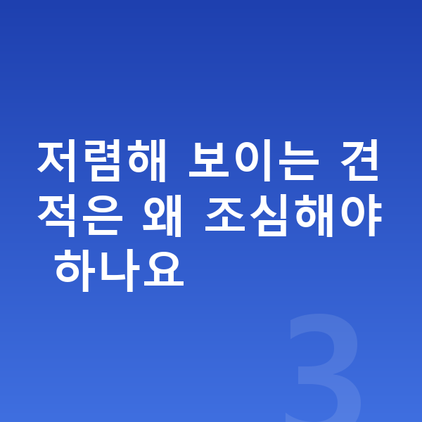 BYD 돌핀 장기렌트 견적 저렴해 보이는 견적은 왜 조심해야 하나요