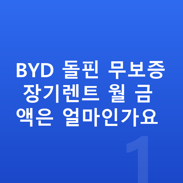 BYD 돌핀 장기렌트 무보증 BYD 돌핀 무보증 장기렌트 월 금액은 얼마인가요