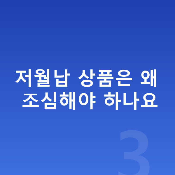 BYD 돌핀 장기렌트 월납입금 저월납 상품은 왜 조심해야 하나요