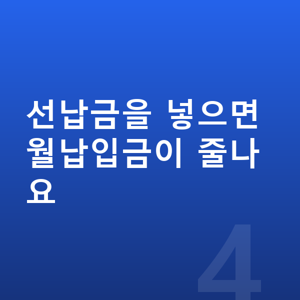 BYD 돌핀 장기렌트 월납입금 선납금을 넣으면 월납입금이 줄나요