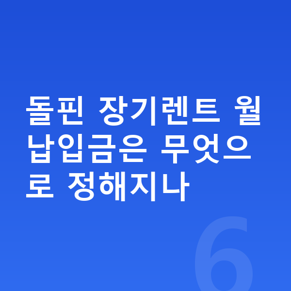 BYD 돌핀 장기렌트 월납입금 돌핀 장기렌트 월납입금은 무엇으로 정해지나