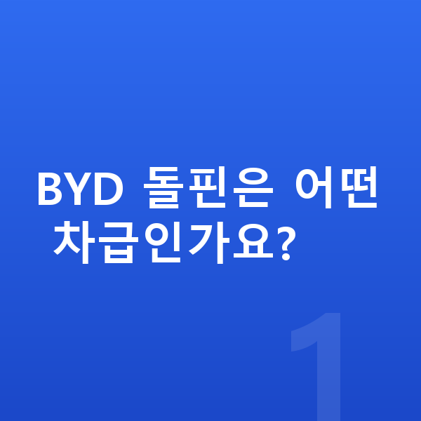 BYD 돌핀 제원 BYD 돌핀은 어떤 차급인가요?