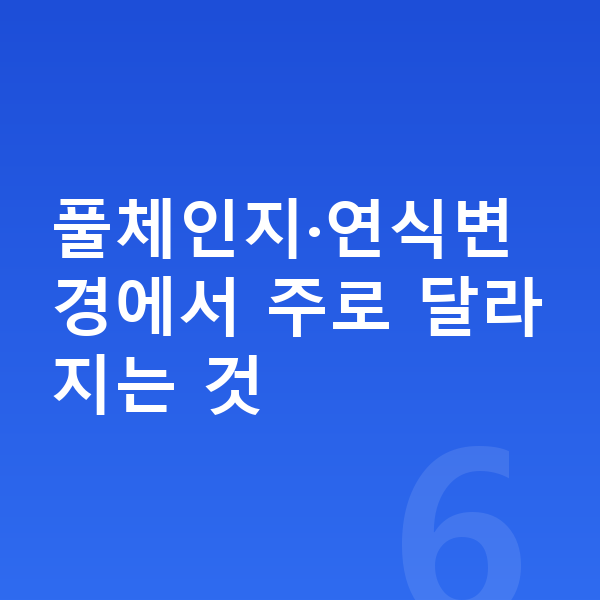 BYD 돌핀 풀체인지 풀체인지·연식변경에서 주로 달라지는 것