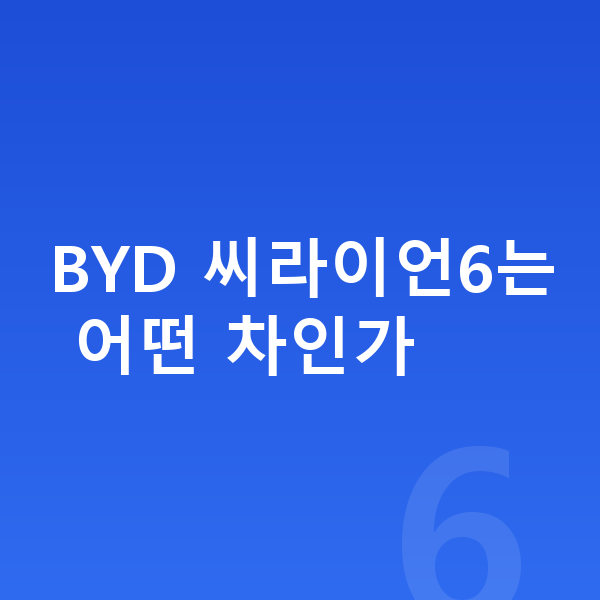 BYD 씨라이언6 가격 BYD 씨라이언6는 어떤 차인가