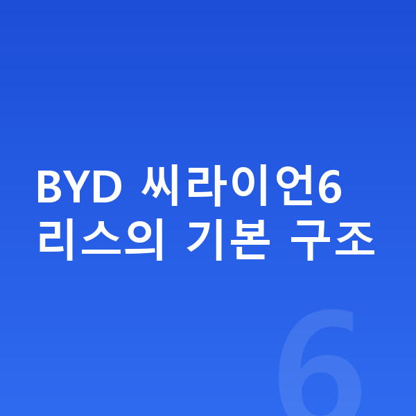 BYD 씨라이언6 리스 BYD 씨라이언6 리스의 기본 구조