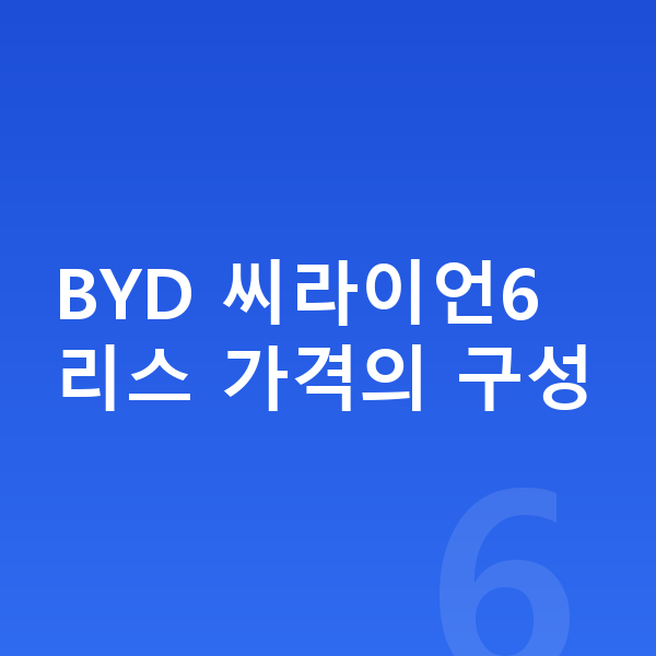 BYD 씨라이언6 리스 가격 BYD 씨라이언6 리스 가격의 구성