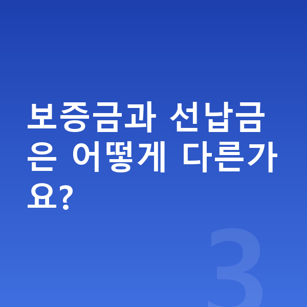 BYD 씨라이언6 리스 보증금 보증금과 선납금은 어떻게 다른가요?