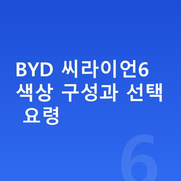 BYD 씨라이언6 색상 BYD 씨라이언6 색상 구성과 선택 요령