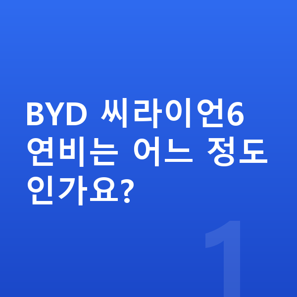 BYD 씨라이언6 연비 BYD 씨라이언6 연비는 어느 정도인가요?