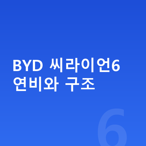 BYD 씨라이언6 연비 BYD 씨라이언6 연비와 구조