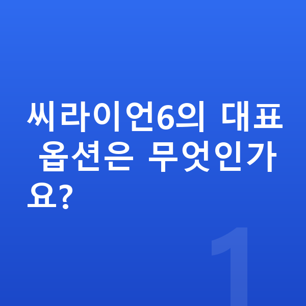 BYD 씨라이언6 옵션 씨라이언6의 대표 옵션은 무엇인가요?