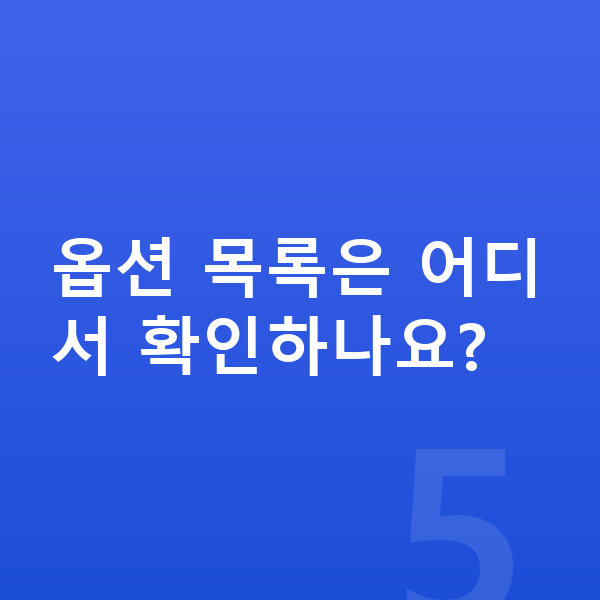 BYD 씨라이언6 옵션 옵션 목록은 어디서 확인하나요?