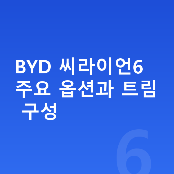 BYD 씨라이언6 옵션 BYD 씨라이언6 주요 옵션과 트림 구성