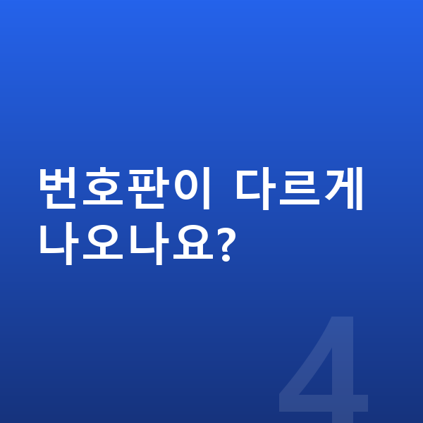BYD 씨라이언6 장기렌트 번호판이 다르게 나오나요?